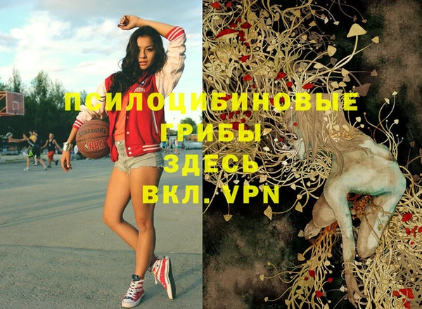 СК Абинск