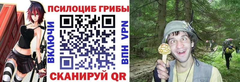 Галлюциногенные грибы Psilocybine cubensis хочу наркоту Братск
